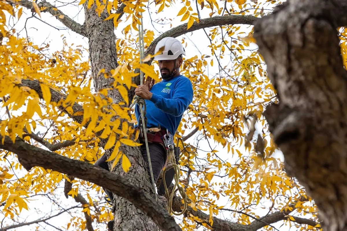 Skilled Storm Damage Cleanup crew working in Eure